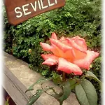 Sevilli 2* Agios Ioannis (Thessaly)