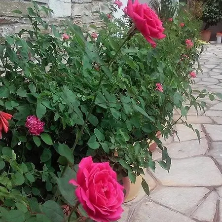 σεβίλλη