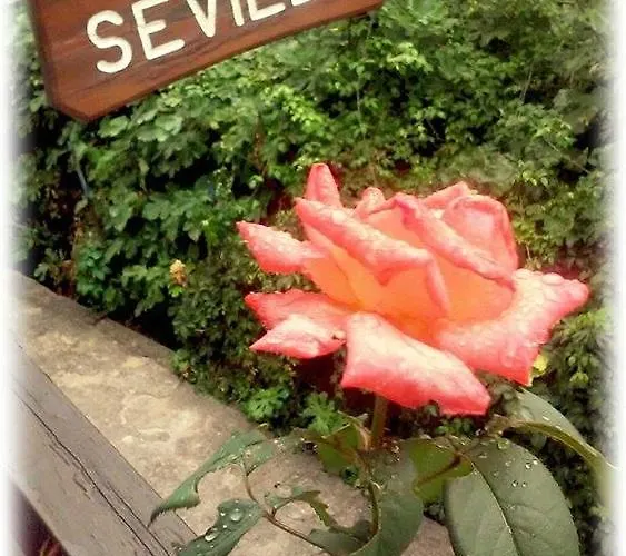Sevilli 2* Agios Ioannis (Thessaly)