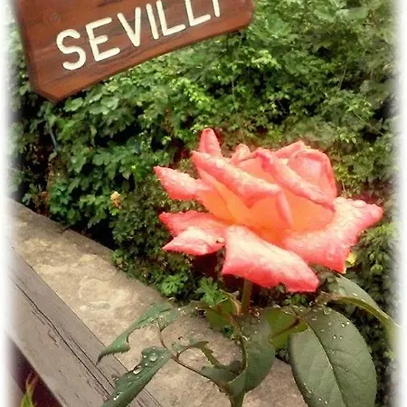 Sevilli 2* Agios Ioannis (Thessaly)